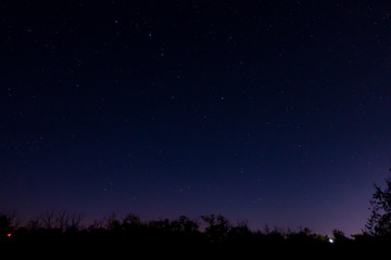 Bright starry night sky