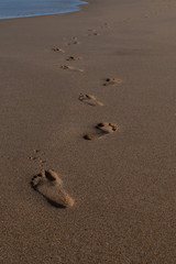 Bare footprints on beach disappearing into distance, line of footprint indentations on sand beach running from bottom to top of image