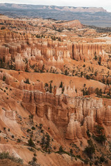 Orange Rock formations in Zion National Park Utah