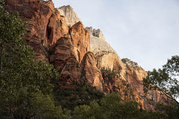 Canyons of Zion National Park