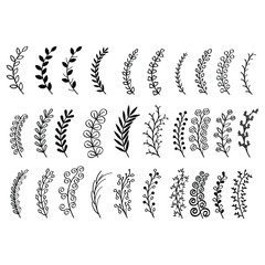 Abstract Set Doodle Elements Hand Drawn Collection Flora Leaf Branch Vine Flower Plant Elements For Frame Border Ornament Vector Desgin Style