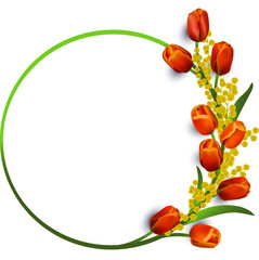 Wreath of spring tulips and mimosa, floral round frame, decorative design, vector illustration