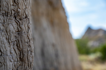 Selective focus on sedimentary sandstone bank hillside in Theodore Roosevelt National Park, North Dakota, USA
