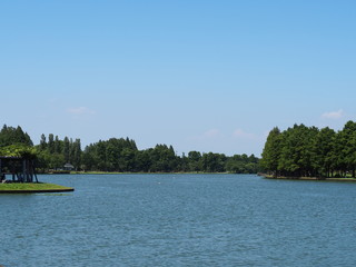 青空と池のある風景