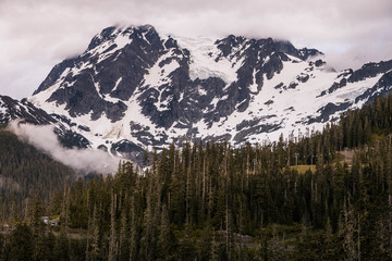 Obraz premium Snow capped Mt Baker in Washington