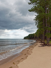 A small secluded sandy Beach on the Tay estuary beside Tentsmuir Nature Reserve on a wet day in August with dark clouds threatening from above.