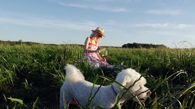 Cute fluffy white dog running playfully on green meadow.	Dog running in grass.