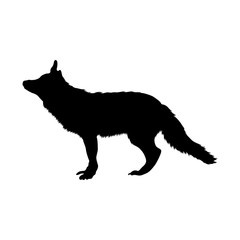 Fox (Vulpes vulpes) Silhouette Found In Map Of Europe