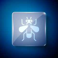 White Insect fly icon isolated on blue background. Square glass panels. Vector.