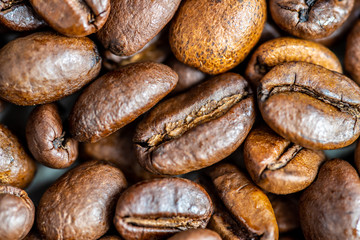 beautiful coffee beans medium roast macro-shooting