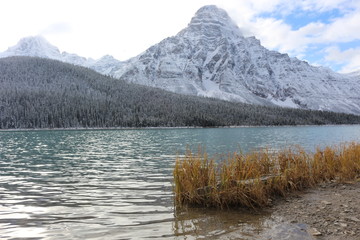 Waterfowl lakes icefields parkway canada © Andy