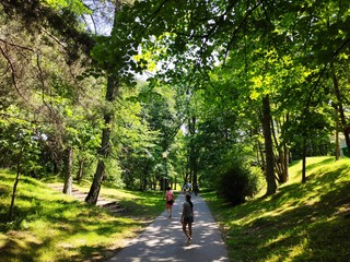 Obraz premium walk in the park