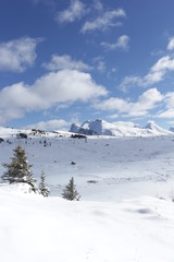 Sunshine Meadows in winter - Banff - Canada