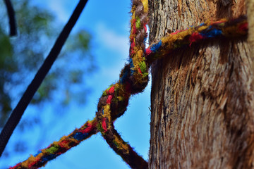 Selective focus shot of colorful ropes intertwined together on a tree trunk © James Attard/Wirestock