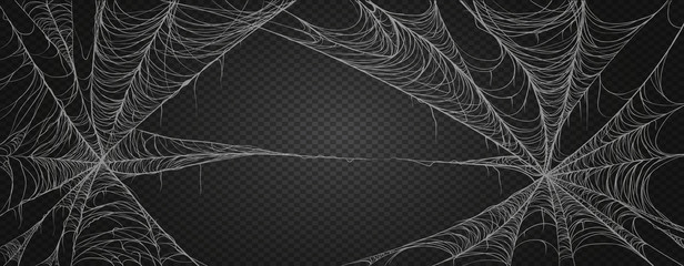 Spiderweb for halloween, spooky, scary, horror decor. Cobweb realism set. Isolated on black transparent background. Vector 