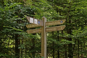 Wegweiser im Nationalpark Kellerwald am Edersee