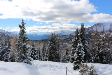Sunshine Meadows in winter - Banff - Canada