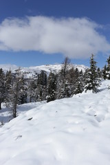 Sunshine Meadows in winter - Banff - Canada