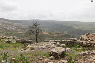 Mountain landscape in the mountains in Golan Heights, Israel.