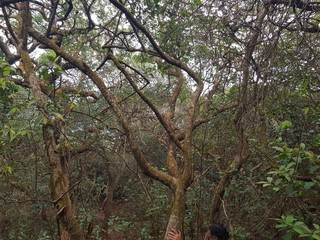 Landscape and nature photography