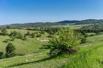 Landscape with hills covered with green grass