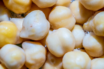 grain chickpea close-up for sprouting