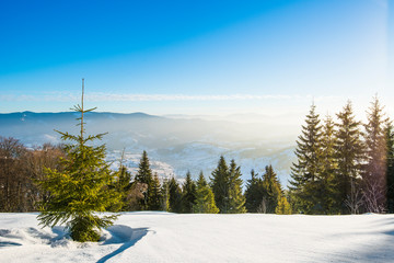 ATV and ski tracks in snow on frosty winter day