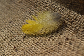There is a colored feather falling on the net on a blear background.