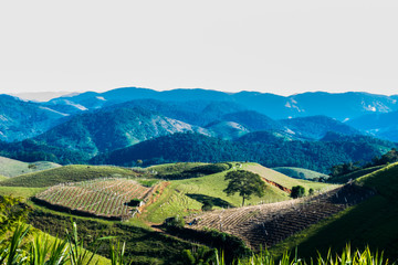 landscape with mountains
