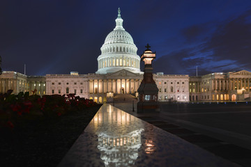 Fototapeta premium U.S. Capitol Building at night - Washington D.C. United States of America