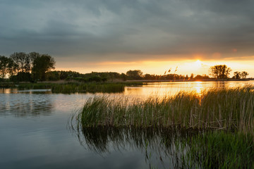 Sunset and dark clouds over a lake with green reeds