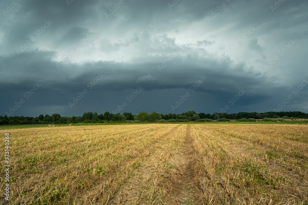 Wall mural Dark storm cloud over the stubble field