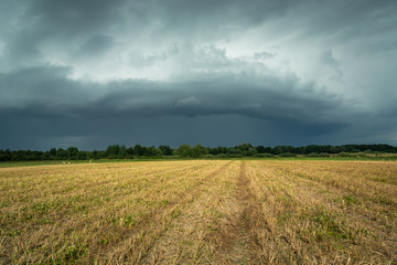 Dark storm cloud over the stubble field