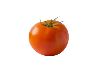 One red tomato on white background isolated