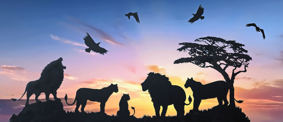 Fototapeta na wymiar Generic Stock vector of a Pride of Lions on the African Savannah with a composite sunset background. This can be used as wallart or a mural, there are no identifiable logo's present.