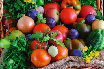 Basket with fresh vegetables and herbs close up