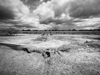 black and white clouds, desert