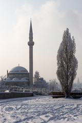 Mosque and poplar tree in winter, Erzurum, Turkey