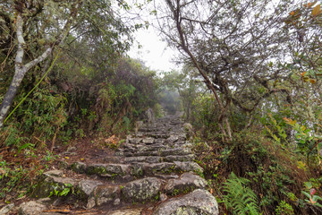 Hiking trail from Machu Picchu ruins to top of the mountain