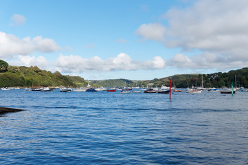 Naklejka premium View of Batson creek in summer in Salcombe, Devon, England. It lies within the South Devon Area of Outstanding Natural Beauty (AONB).