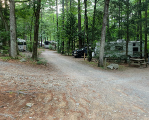 Shaded campground