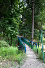 Camping in the forest with wooden huts for tourists