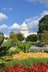 United States Capitol Building - Washington D.C. United States of America
