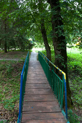 Fototapeta premium Camping in the forest with wooden huts for tourists