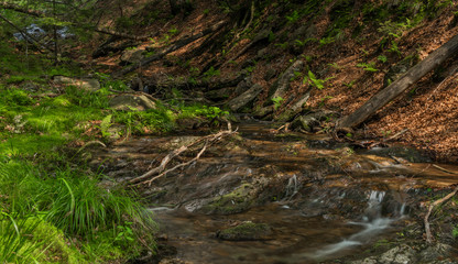 Naklejka na ściany i meble Small waterfall on Divoky creek near Kouty nad Desnou village in summer day