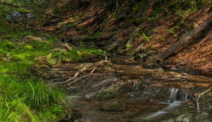 Small waterfall on Divoky creek near Kouty nad Desnou village in summer day