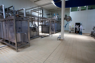 Plant for the production of milk and filling it into bottles