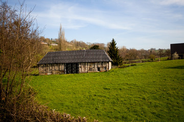 Green meadow near a house with a fence in spring