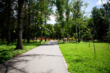 Alleys and paths of the park with tall green trees on a sunny day along which people walk