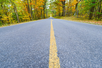 The road into the forest during autumn - Shenandoah National Park, Virginia, United States of America
